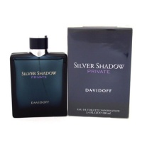 Davidoff Silver Shadow Private 100 ml toaletní voda