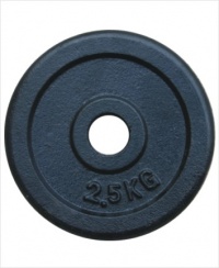 Kotouč inSPORTline 2,5 kg ocelový