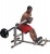 Posilova� b�icha a zad Body-Solid GCAB360