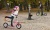 Kolob�ka WORKER City