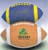 M�� Spartan na americk� fotbal