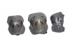 Chr�ni�e Spartan Profi set Coolmax 6-d�ln�