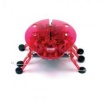 HEXBUG robotick� brouk (plo�tice)  ECHO (�erven�, Original HexBug, reaguje na zvuk a p�ek�ky)